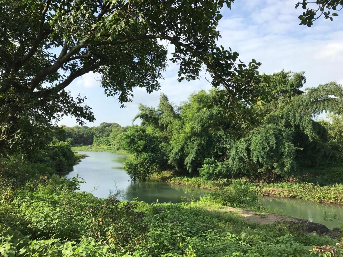 Zohra Baugh, A Green & Organic Farmhouse Stay With All Amenities Dahanu Buitenkant foto
