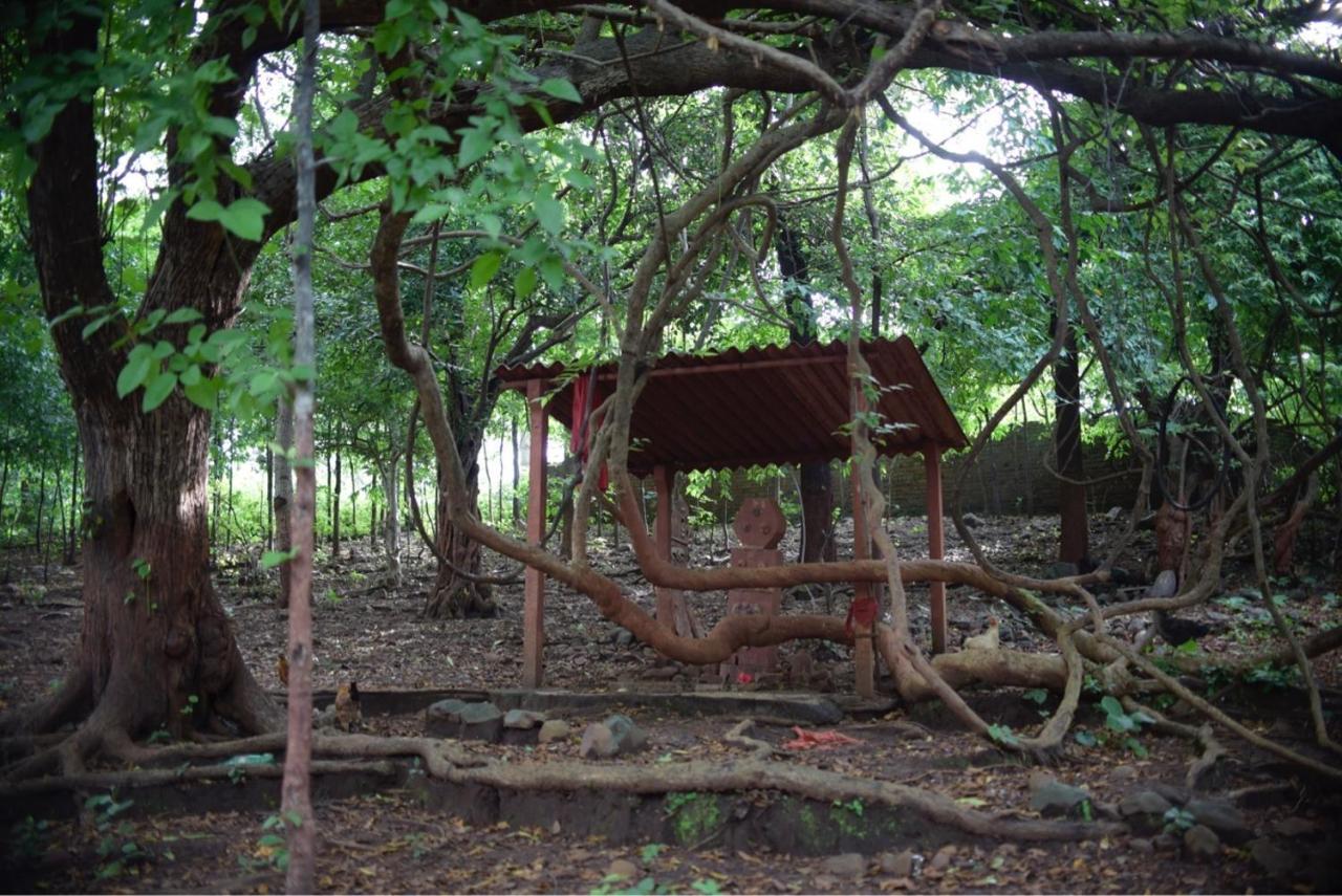 Zohra Baugh, A Green & Organic Farmhouse Stay With All Amenities Dahanu Buitenkant foto