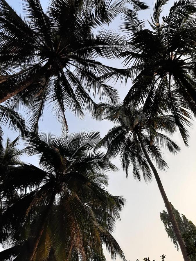Zohra Baugh, A Green & Organic Farmhouse Stay With All Amenities Dahanu Buitenkant foto