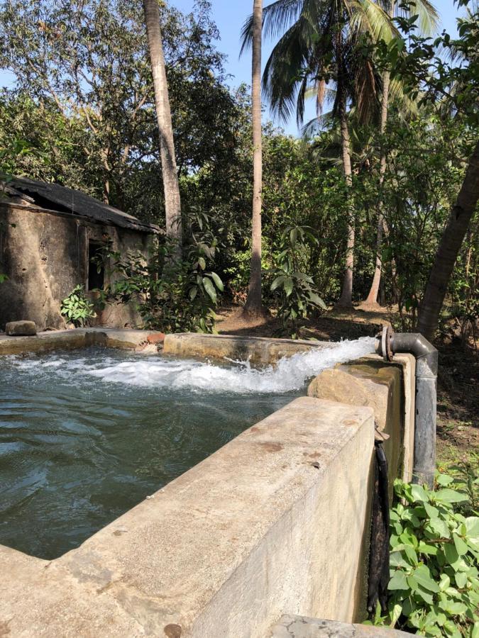 Zohra Baugh, A Green & Organic Farmhouse Stay With All Amenities Dahanu Buitenkant foto